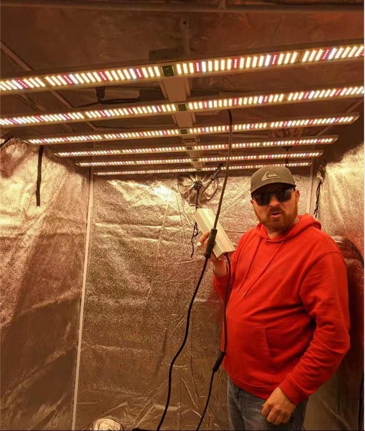 Grow Light Spectrum Dimmer China Red White Hydroponic Lighting Systems Bulb Full LED Lights