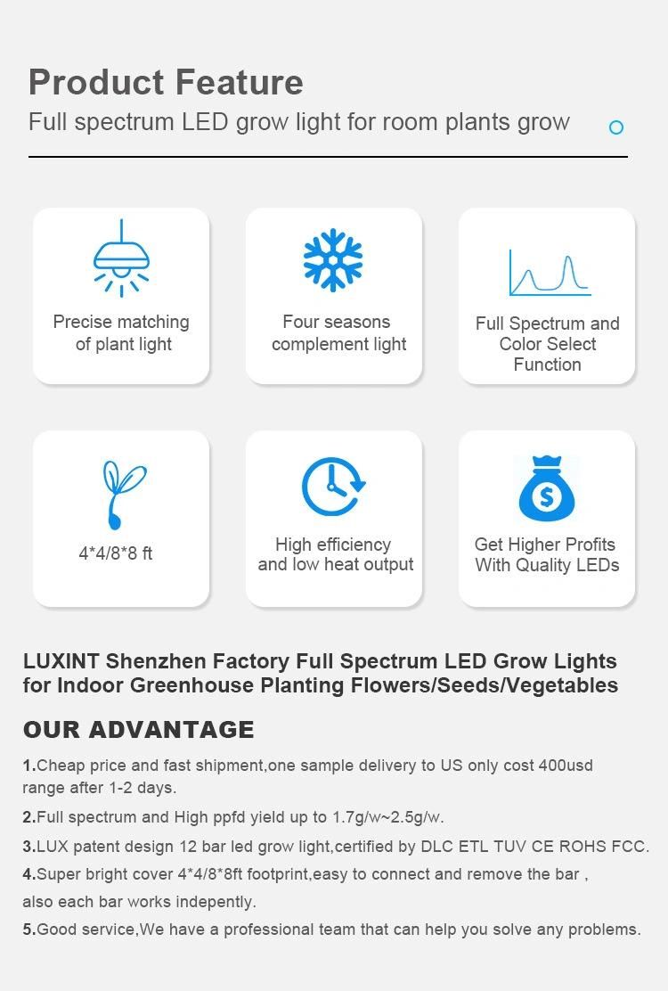 600W Plant Growth Lamp for Fruits and Vegetables