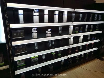 Energy-Saving LED Lights with High Quality Chips Provided Customized Service