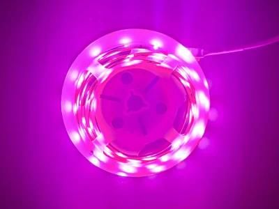 LED Plant Growth Light Strip, Supplement LED Light with RoHS