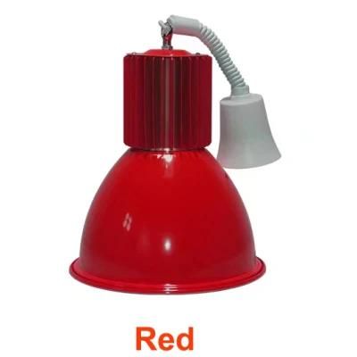 30W Green Blue Red Orange Ceiling Mounted LED Fresh Food Pendant Light for for Vegetable Market Shopping Mall Fresh Area Supermarket