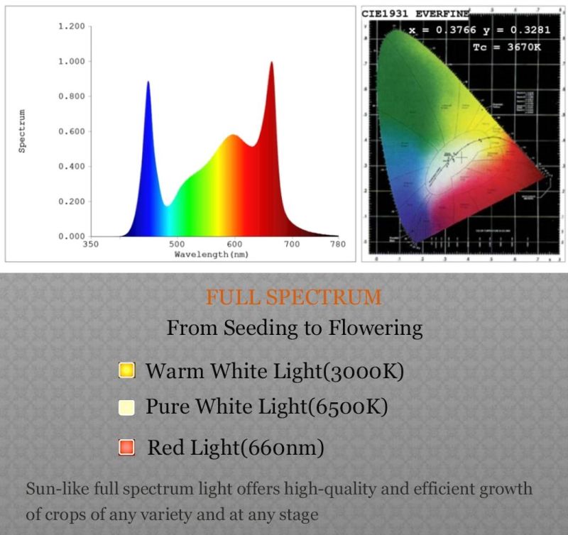 Most Popular LED Full Spectrum Grow Light for Indoor Grow Tent