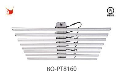 600W UL Certification Bo-PT8160 LED Grow Light for Vertical Farming