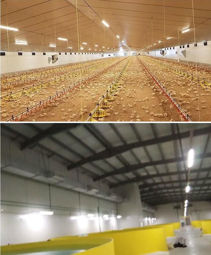 Linear Lighting Fixture Waterproof LED Triproof Light for Chicken Farm 0-10V Dimmable