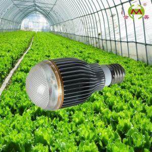 5W LED Grow Light (HM-Z5W5-1)