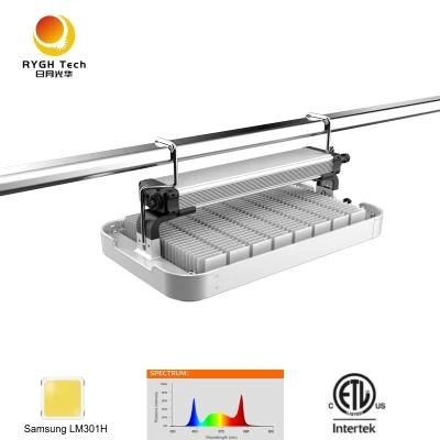 Agricultural Panel Plant Lamp Canopy Top Bar Full Spectrum LED Grow Light 600W 800W