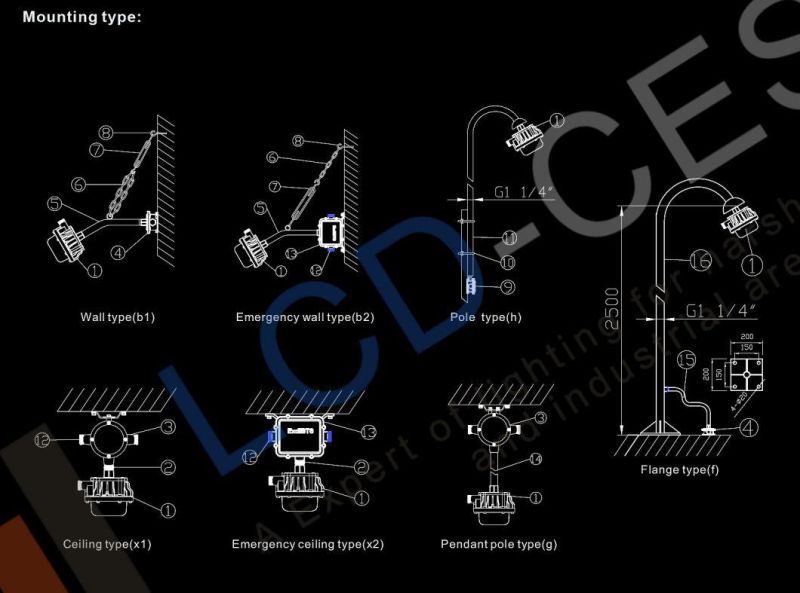 LED Light Explosion Proof LED Outdoor Lighting Bulkhead 20W 220V 6500K 2400lm IP66 Ik09 5years Warranty with UL TUV Ce Certificates MW Driver and 3030SMD
