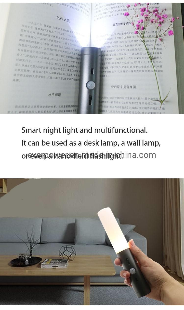 USB Rechargeable Motion Sensor LED Night Light with Magnets (SR030)