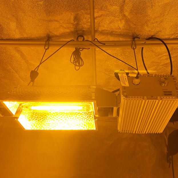 Hot Selling Wholesale 630W 1000W CMH Hydroponic Grow System Indoor Double End HID Plant Grow Light