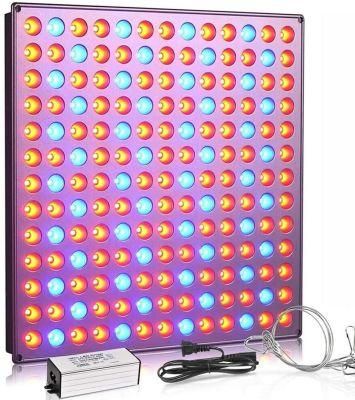 Jlp-Gl1 LED Grow Light for Indoor Plants Full Spectrum Plant Light for Seedling, Hydroponic, Greenhouse, Succulents, Flower