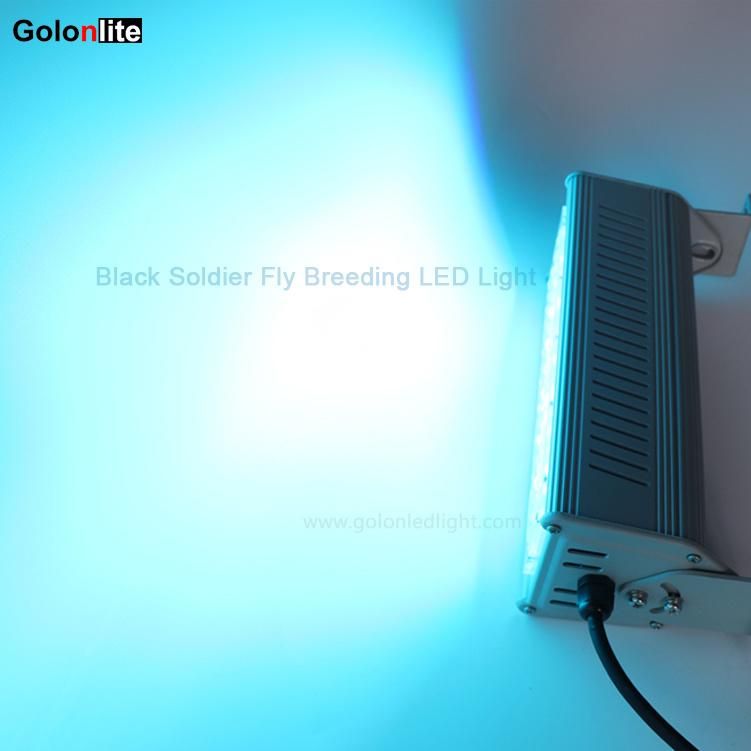 Black Solider Fly Farm Bsf Breeding Insect LED Artificial Light