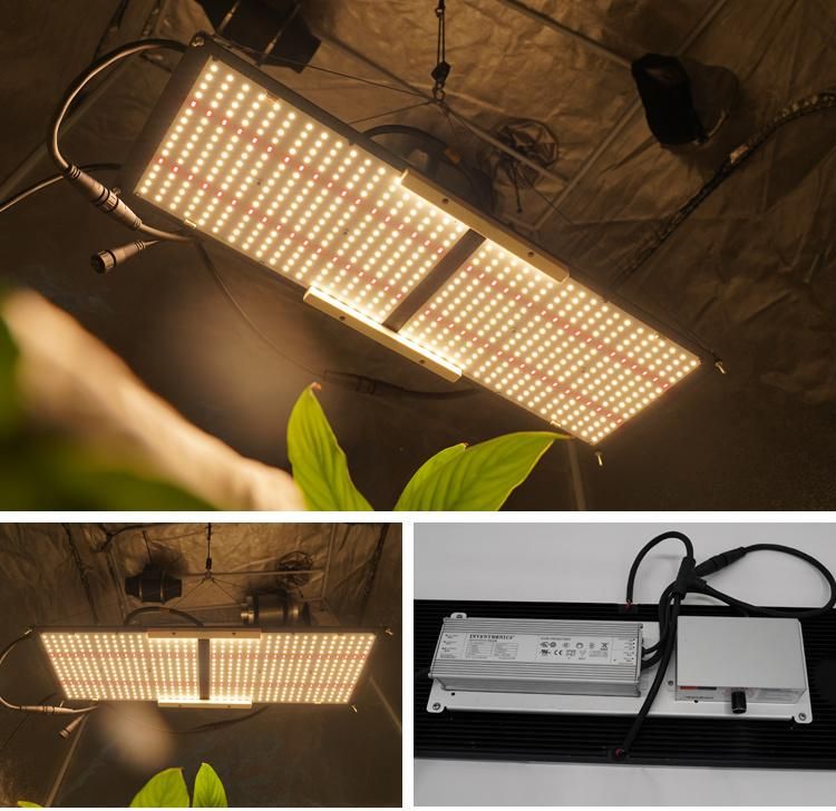 Factory Wholesale 240W 300W Quantum Qb Panel LED Light Grow Light with Full Spectrum