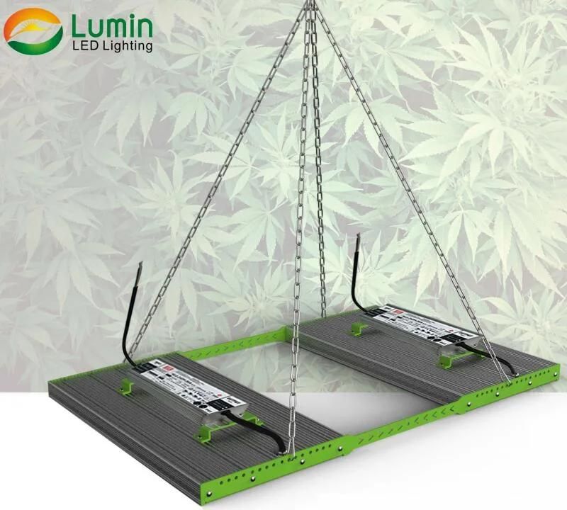 Ilummini 640W 480W DIY Private Mould Full Spectrum LED Grow Light with 730nm 395nm 660nm