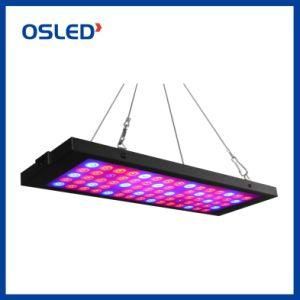 Seedling LED Grow Light for All Stages Plant Growth LED Plant Grow Light with Veg&Bloom Full Spectrum