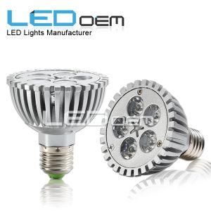 LED PAR30 Light