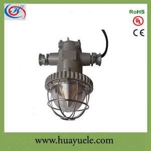 High Performance LED Explosion Light for Mining