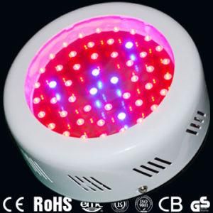 LED Grow Light 50W, AC85-265V (CD-GL50W-RB)