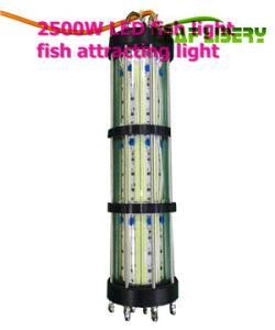 LG Brand LED Sea Fishing Night Lights, Deep Sea Fishing LED Lights, Esca Light up Sea Fishing Lures