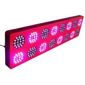 200W 300W 400W 500W 600W Big Bean Angle 120 Degree Znet LED Grow Light for Greenhouse and Madical Plants (GS-Znet16-600)