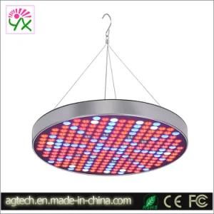 LED Grow Lights 50W 250 LEDs Wholesale