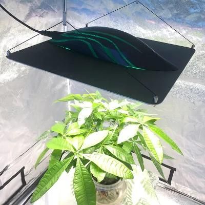 Wholesale 320W Full Spectrum Samsung Greenhouse Hydroponic Systems Plant Lamp LED Grow Light Pvisung Retractable Plant LED