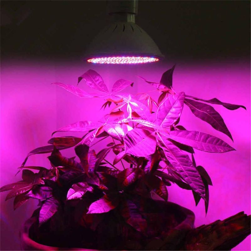 02yled Grow Light Rechargeable LED PAR Light