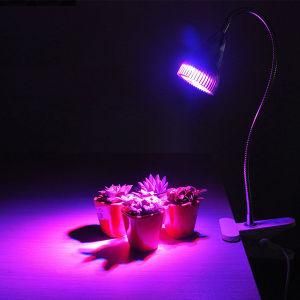Plant Grow Light PAR 5W LED Grow Light with Clip