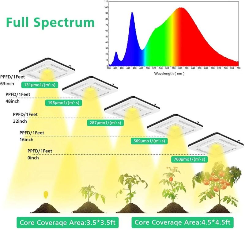 200W Full Spectrum with 60" Extendable Tripod Stand Auto on/off Timing Function Floor Plant Grow Panel Light for Indoor Various Plants