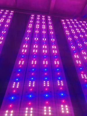 Growspec Vb Full Spectrum LED Grow Light for Greenhouse Indoor