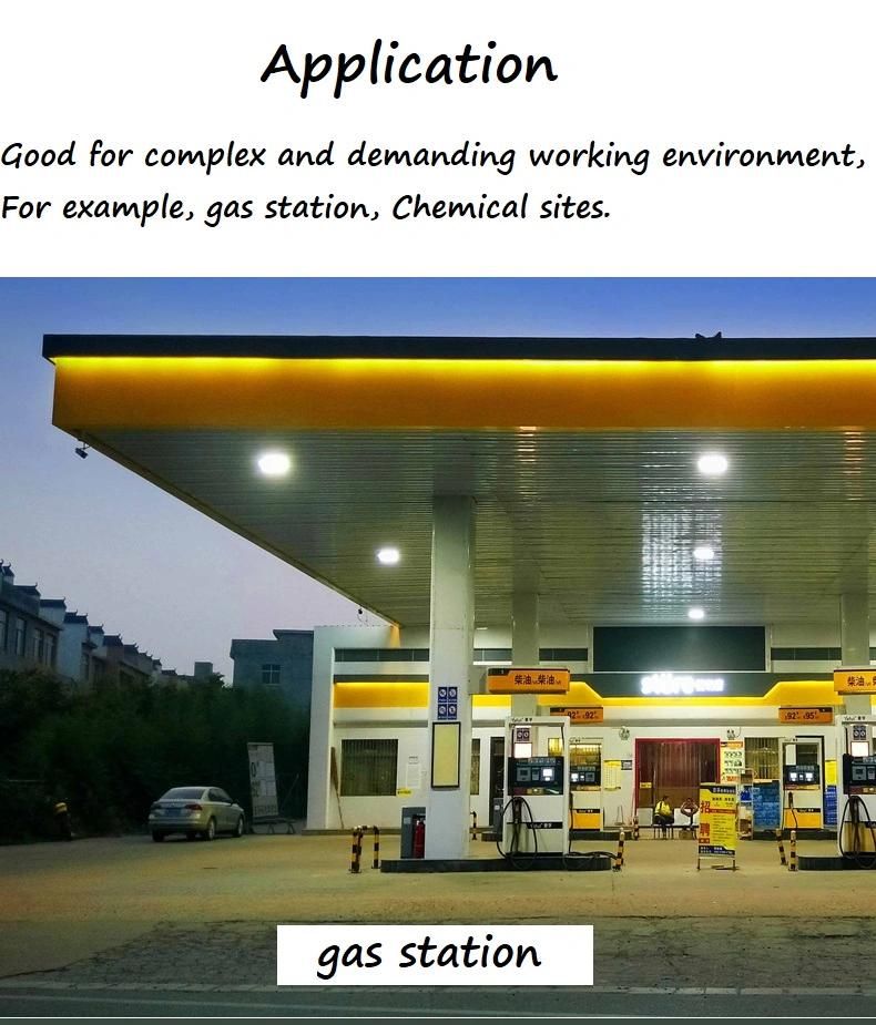 Outdoor Explosion Flame Proof LED Canopy Lights for Petrol Pump Gas Station Fuel Service