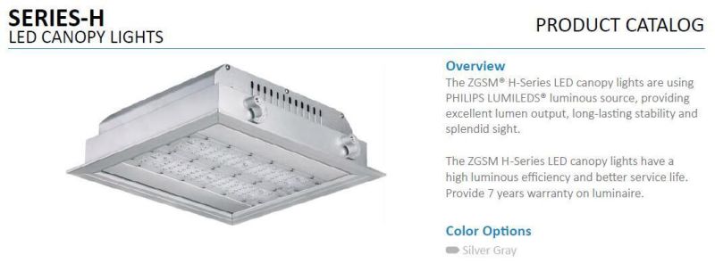 Atex 40W 80W 120W 160W Canopy Light with Lumileds LED