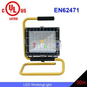 LED Working Light 30W IP65