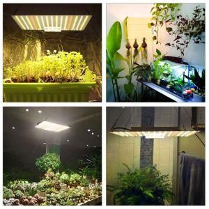 LED Plant Light
