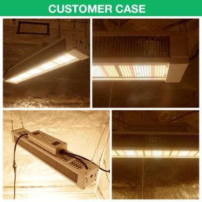 LED Grow Light 300W 2.8umol/J UV IR LED Grow Light Full Spectrum Indoor Grow Light