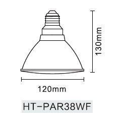 Smart Bulb PAR38 25000f Life Span Green LED PAR Light