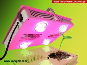 Integrated LED Grow Light 600W for Mj Plants with Veg/Bloom Switch