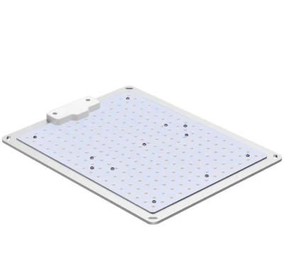 Amazon Ilummini Newest Dimmable Quantum Board LED Grow Light Full Spectrum Lm301b Grow Light for Indoor Plant Veg Bloom