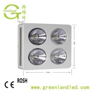 Full Spectrum 800W COB LED Grow Lamp for Greenhouse and Indoor Plant Flowering Growing