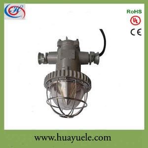 18W Explosion Proof LED Miners Laneway Light