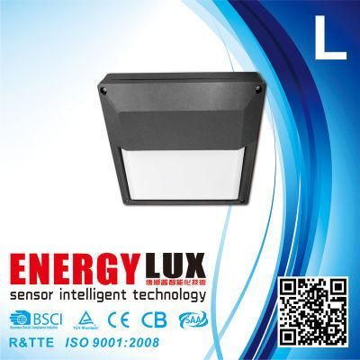 E-L35e 18W Outdoor IP65 Aluminium Die Casting Emergency LED Light
