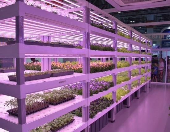Full Spectrum 24W LED Grow Light for Greenhouse Plants, RoHS