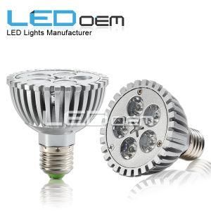 Exclusive Lamp Design 5W LED PAR30