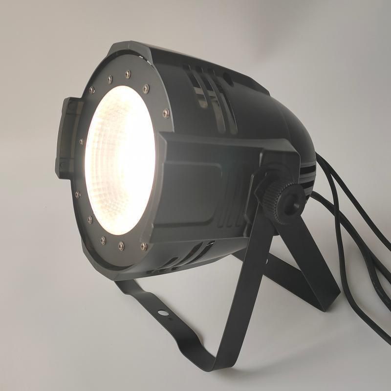 Professional Stage Lighting DMX 512 Control 100W Warm White COB LED PAR Light