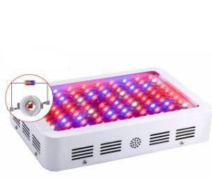 Factory Price 300/600/1200W Grow Lights, LED Lamp for Indoor Plants Greenhouse