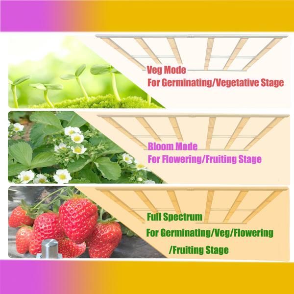 Foldable Full Spectrum 640W Samsung Lm301h Lm301b W/UV/IR Indoor Greenhouse Strip Bar Dimmable LED Grow Light with 6 Bars for Cann Medical Plant
