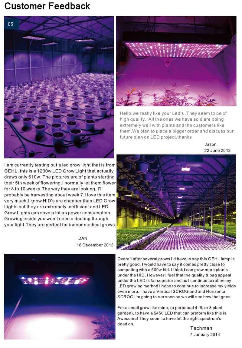45W Panel LED Grow Light for Greenhouse and Medicine Plant
