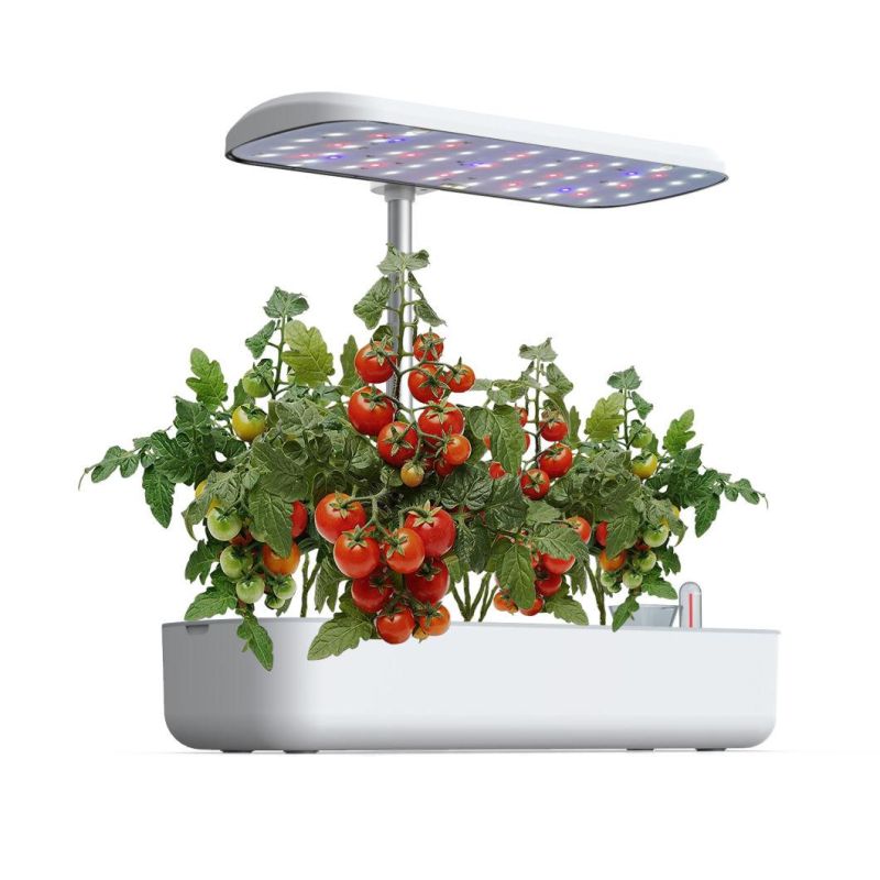 Indoor Soilless 10 Pots LED Lighting Automatic Watering Intelligence Annual Planter