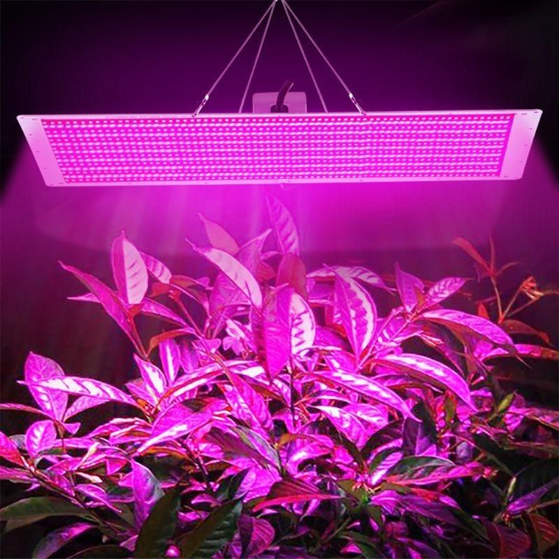 LED Grow Light Waterproof IP65 200W Panel LED Grow Light for Indoor Plants