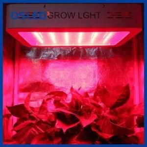Amazon Best Seller Supplier Offer 100W LED Grow Light for Medical Plants and Greenhouse