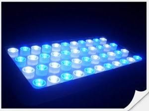 Changeable 120 Watt LED Aquarium Lighting for Fish Bowl and Soft and Hard Coral Growth